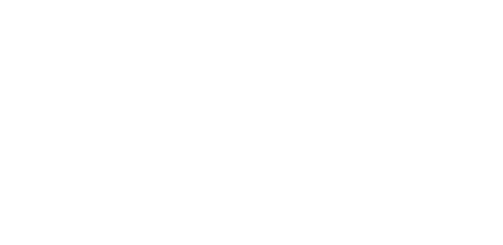 SAN Global Logistics Limited